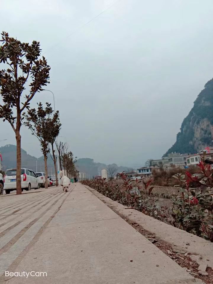 贵州省毕节市赫章县