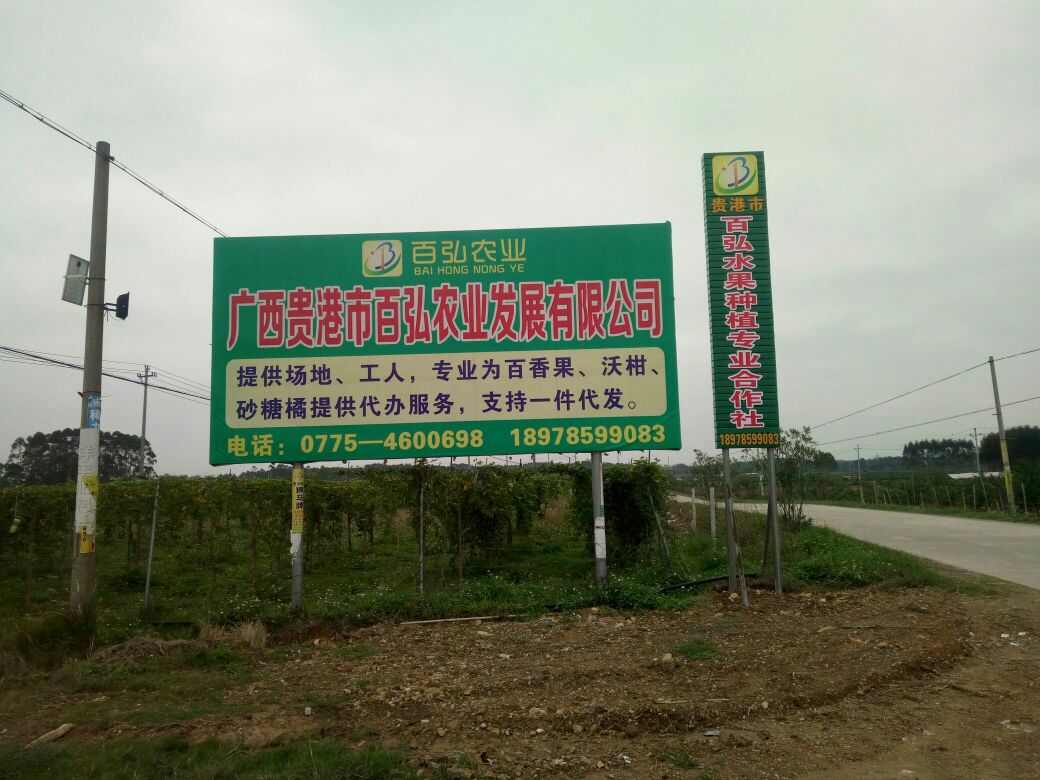 贵港市百弘水果种植专业合作社