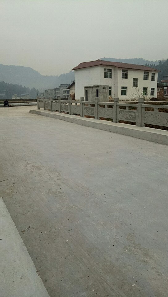 四川省南充市仪陇县文星镇所有特殊区域