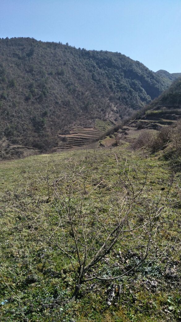 毕节市赫章县