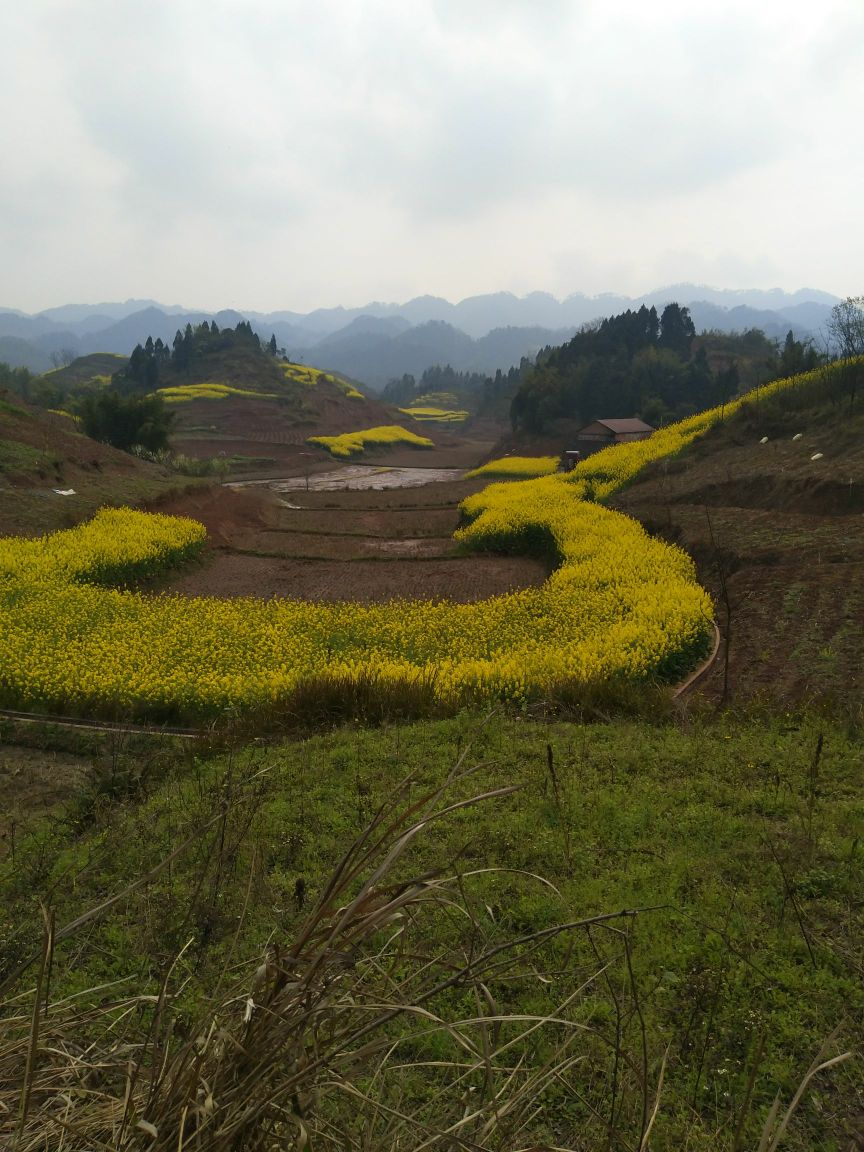 宜宾市叙州区