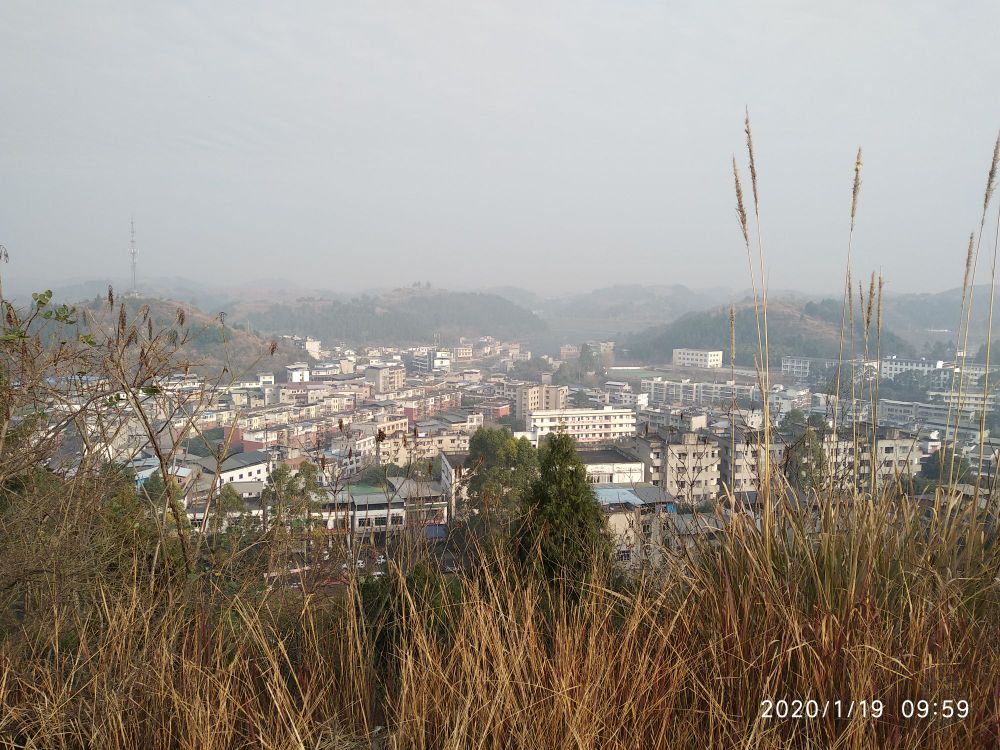 竹篙寺社区地名网_四川省成都市金堂县竹篙镇竹篙寺社区资料简介