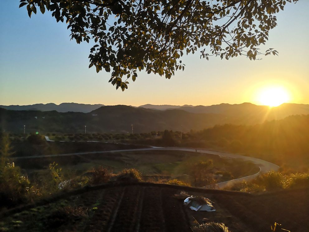 温州市泰顺县