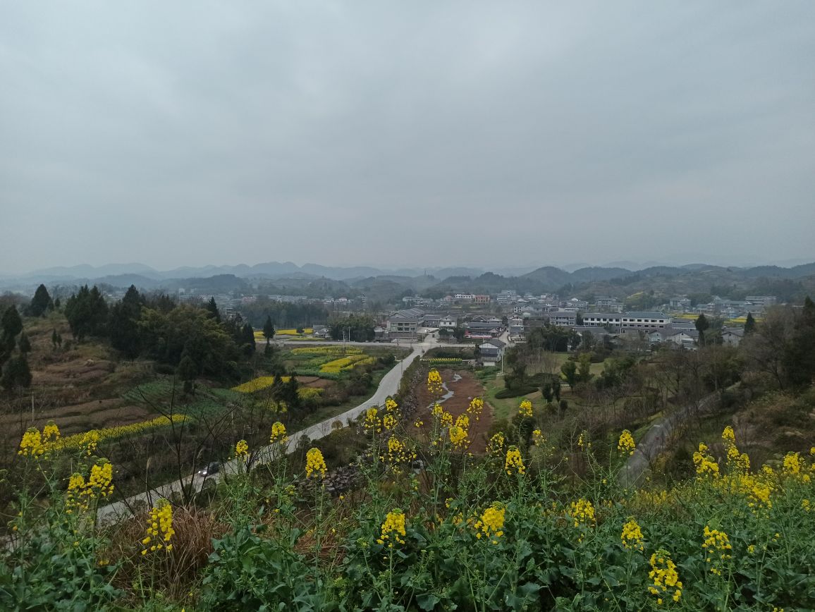 遵义市红花岗区