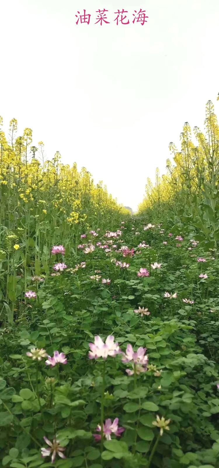 衡阳市常宁市