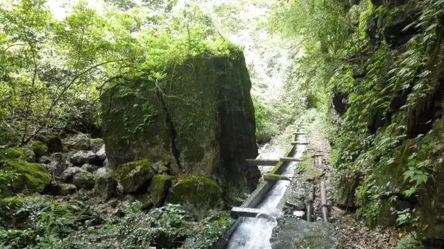 龙岩润
