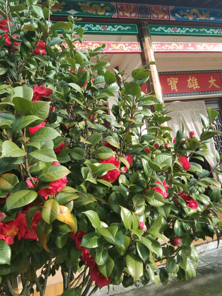 刻木寺