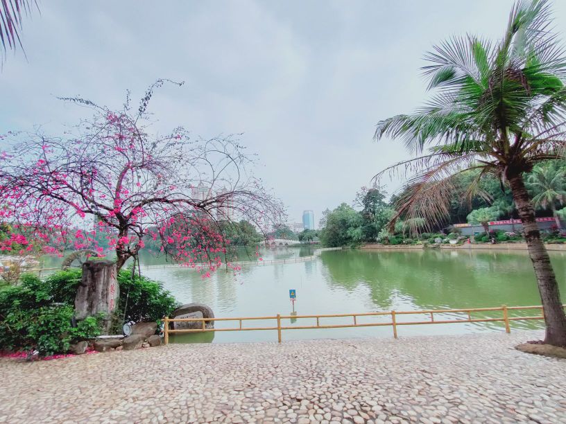 鹅岛