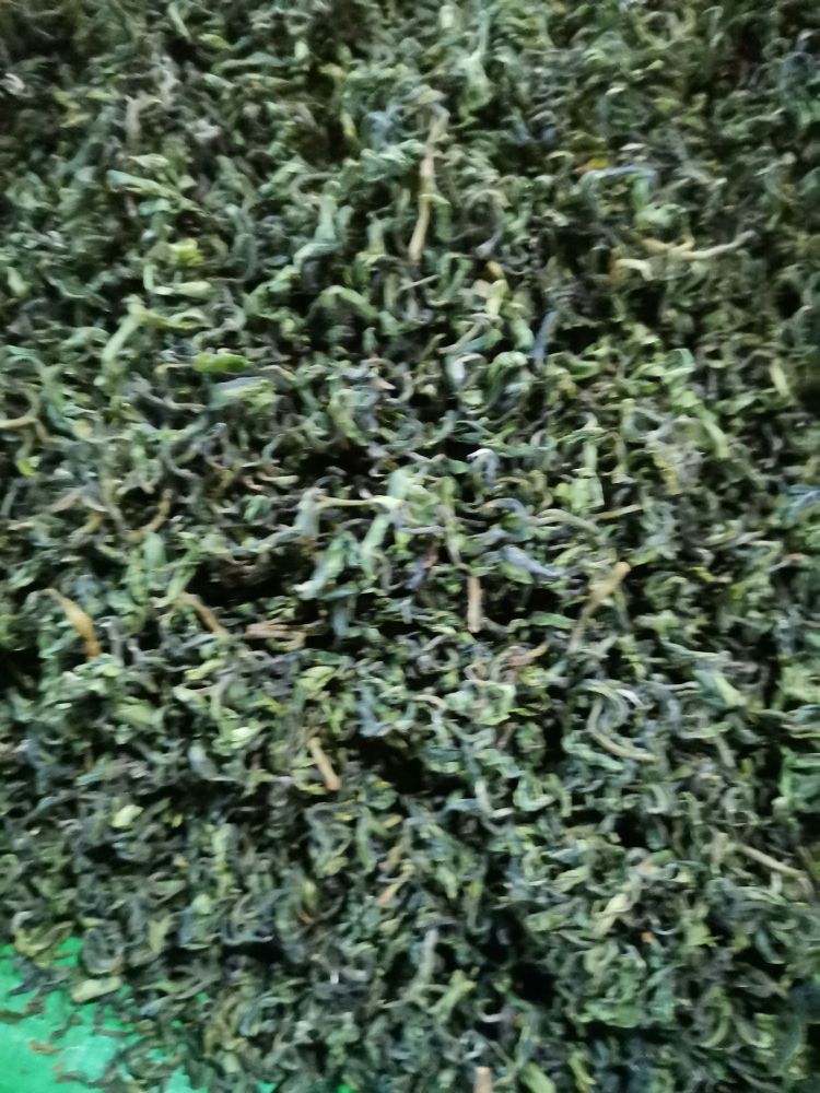 松阳县蓝天茶厂