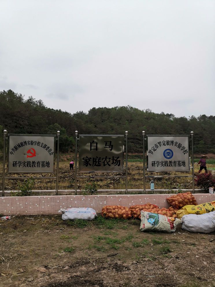 广东省云浮市罗定市附城街道星光村委白马坑内