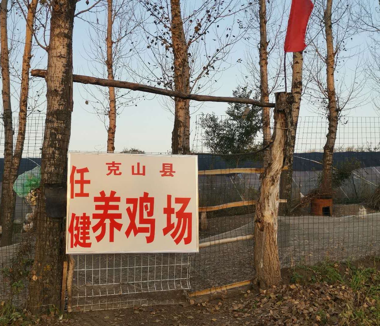 黑龙江省齐齐哈尔市克山县