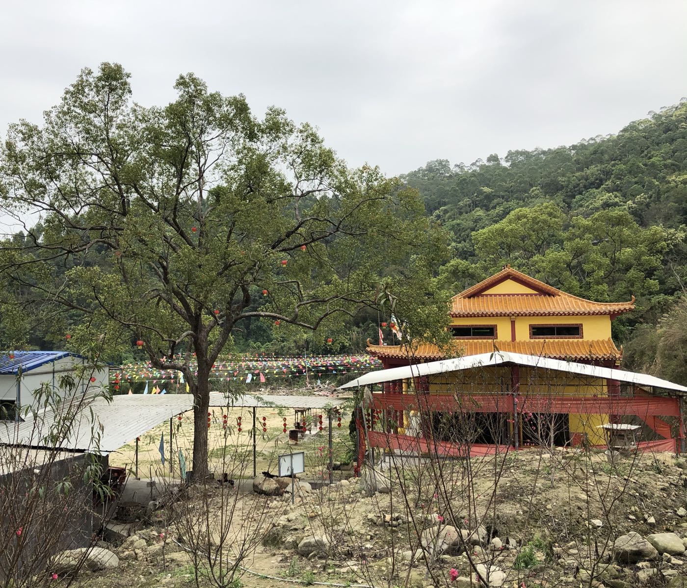 广东省茂名市高州市荷花镇上俗旺岭村