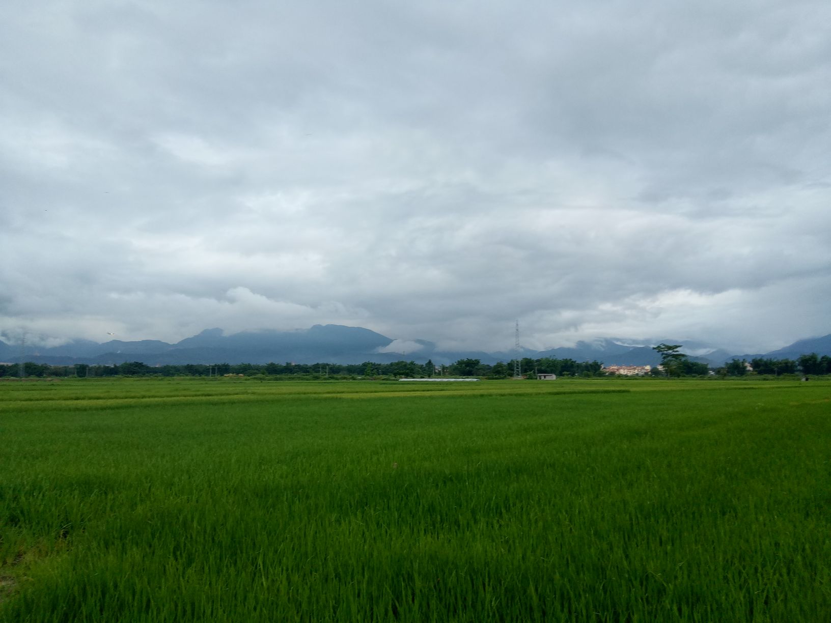芒市生态田园观光区