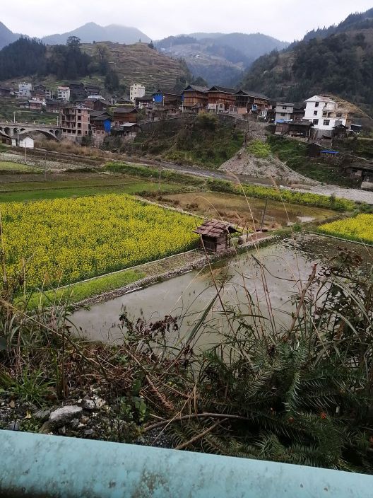 黔东南苗族侗族自治州黎平县