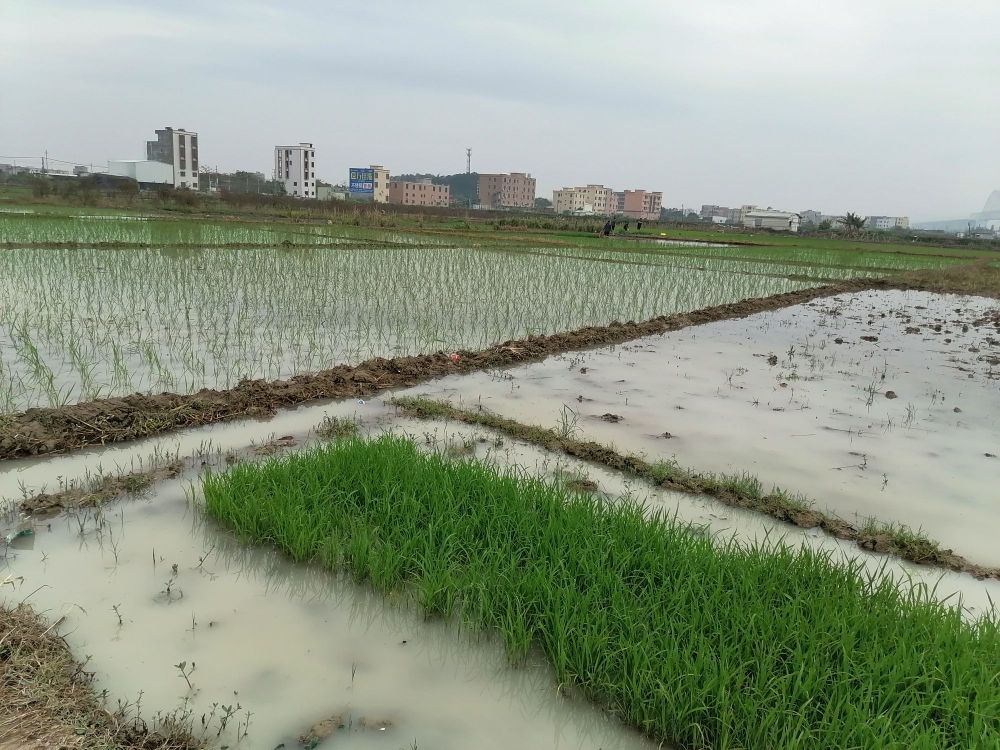 揭阳市榕城区