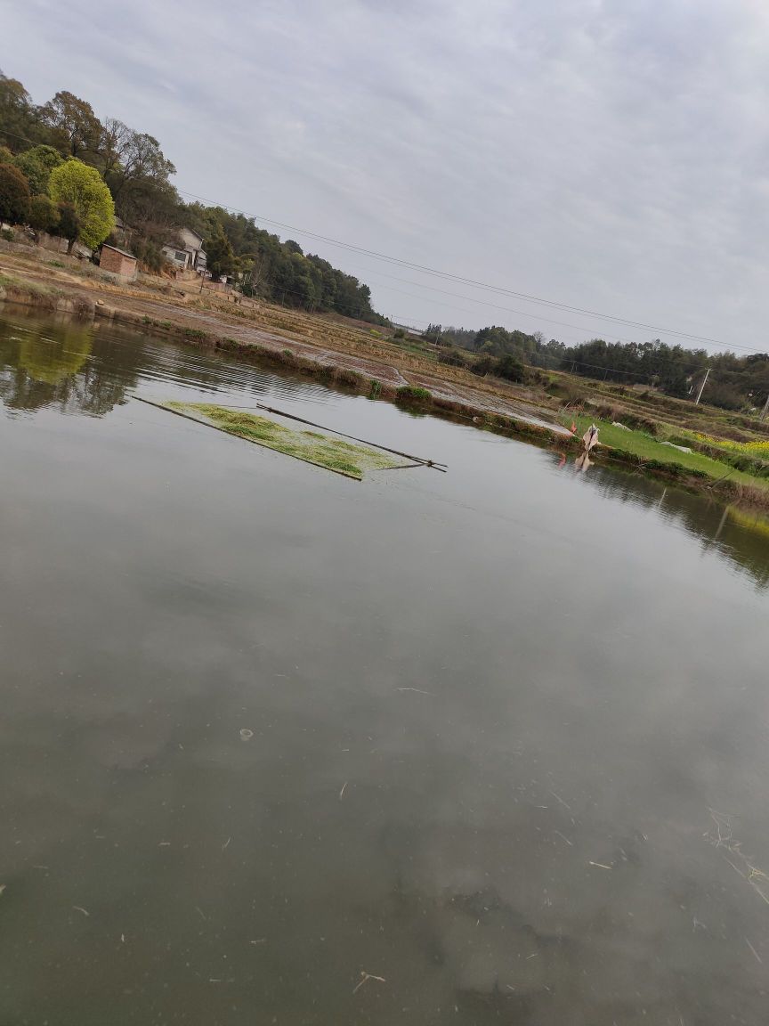 湖南省湘潭市湘潭县杨嘉桥镇洞合村民委员会西北