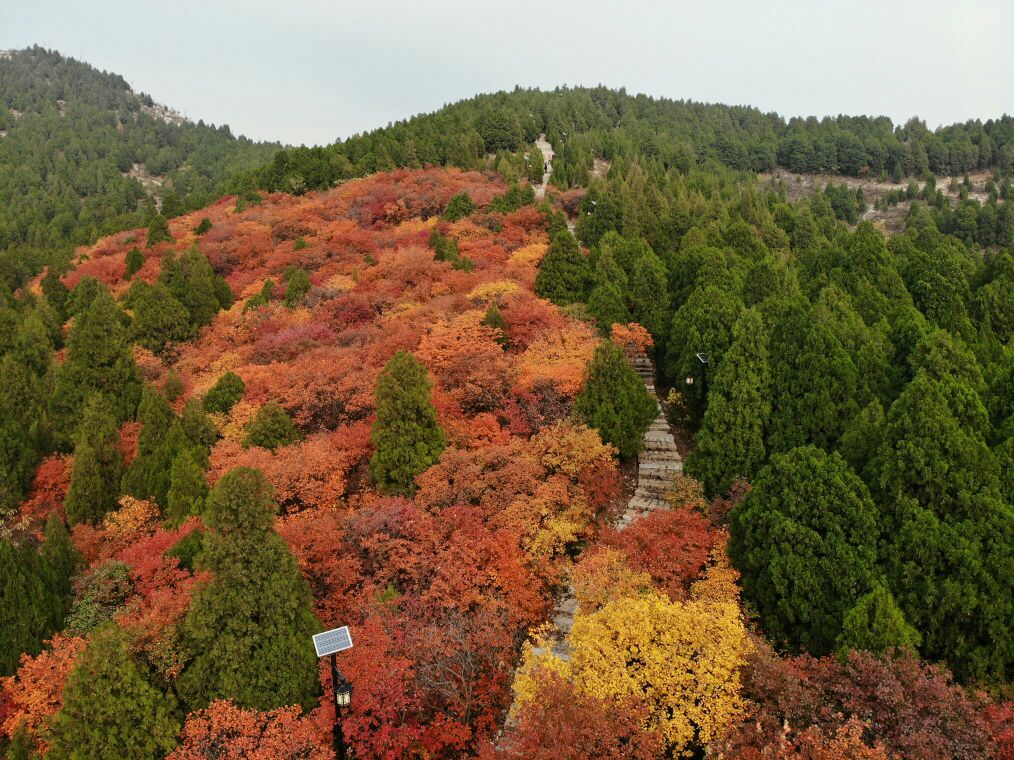 文昌山山体公园