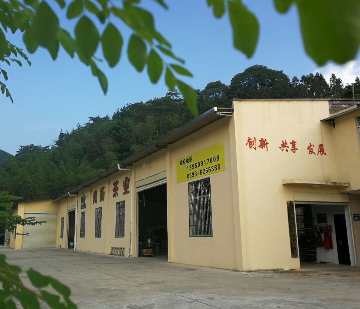 尚扬茶业