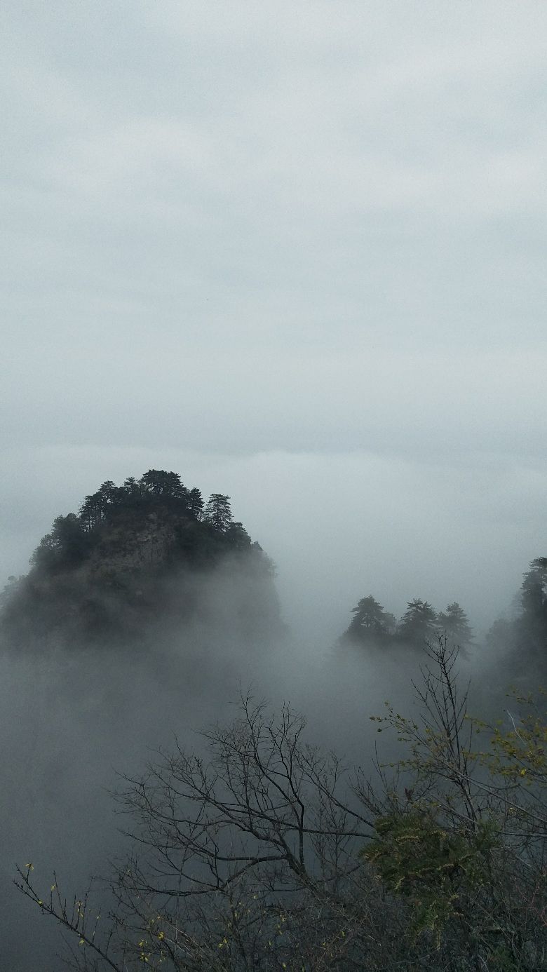 一柱景甜