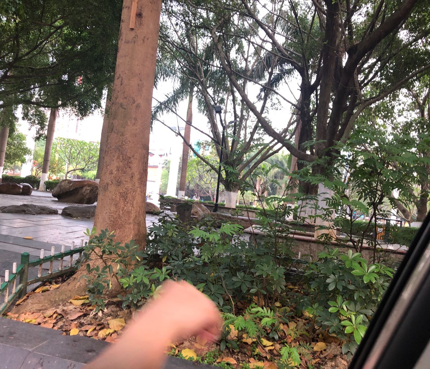 田阳布洛陀文化中心