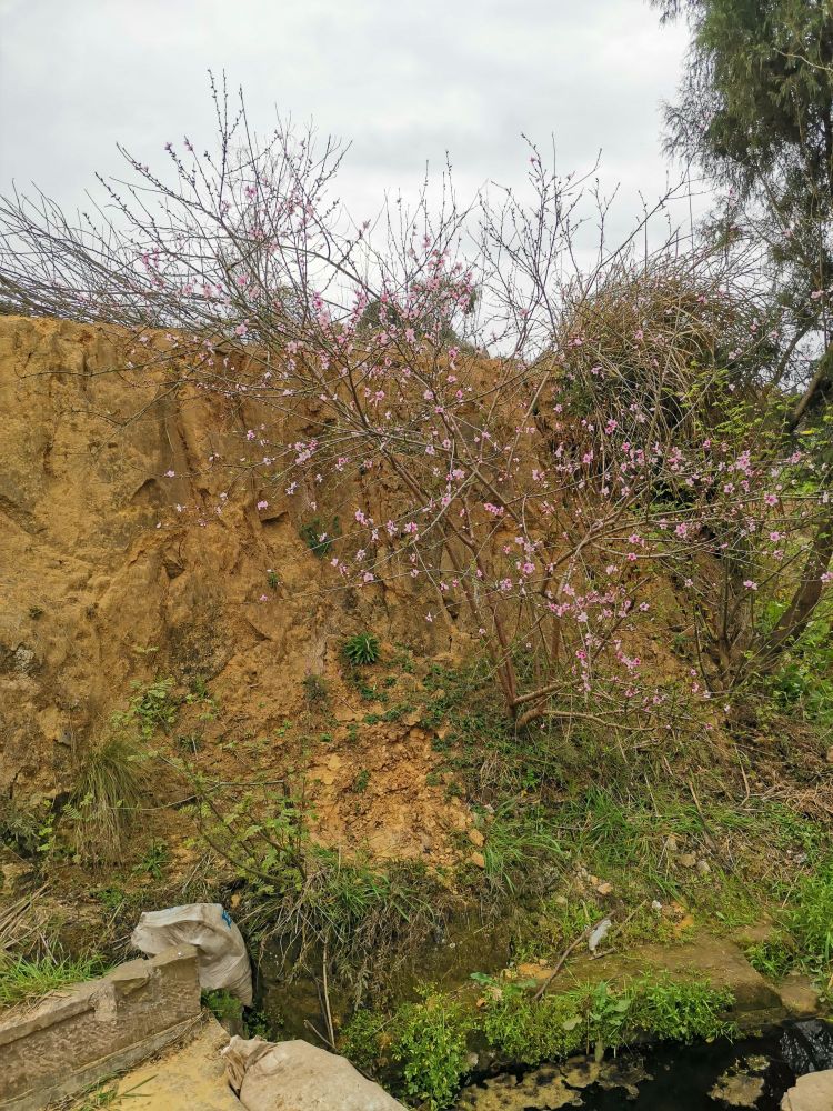 绵阳市三台县