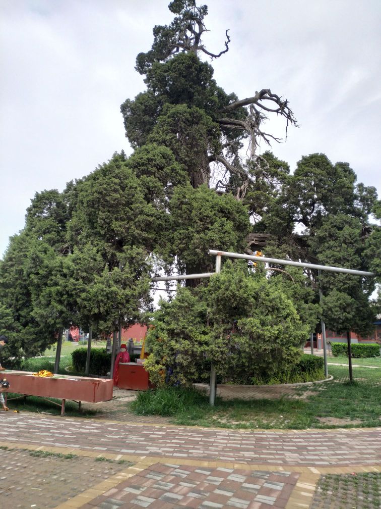 邯郸市临漳县靳彭城村