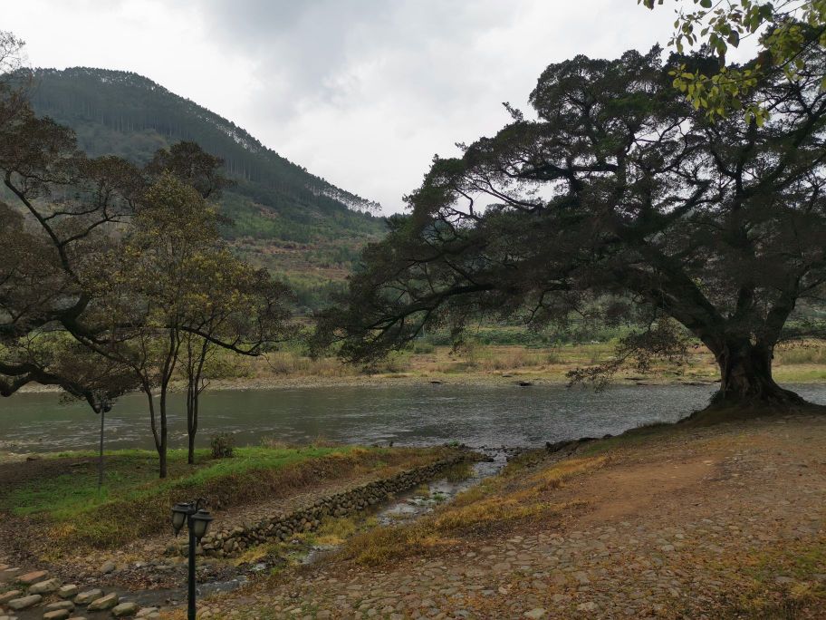 贵村AAAA房车露营地