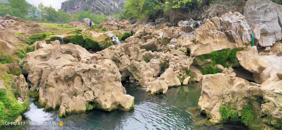 安顺市关岭布依族苗族自治县木城--大花地