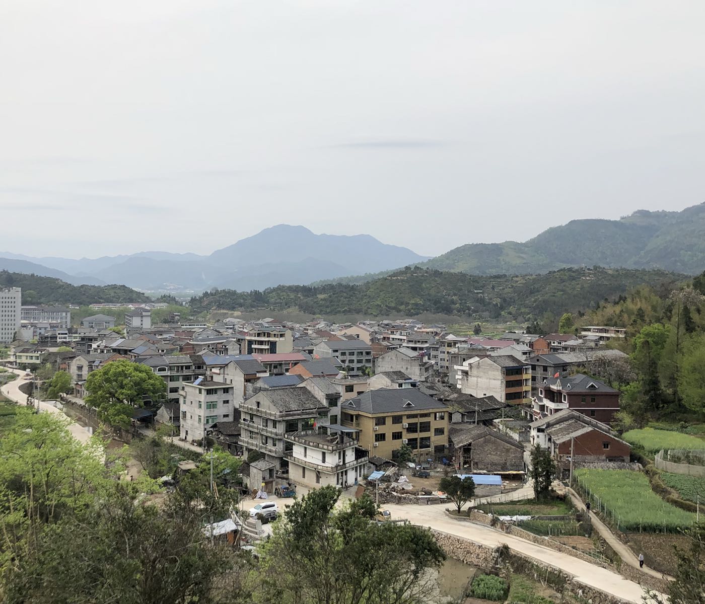 温州市永嘉县