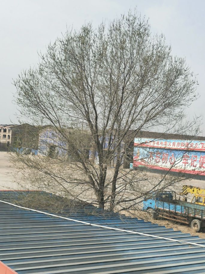 河北省衡水市桃城区京华住宅小区(规划一街西)