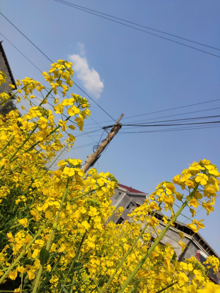 湘西土家族苗族自治州永顺县