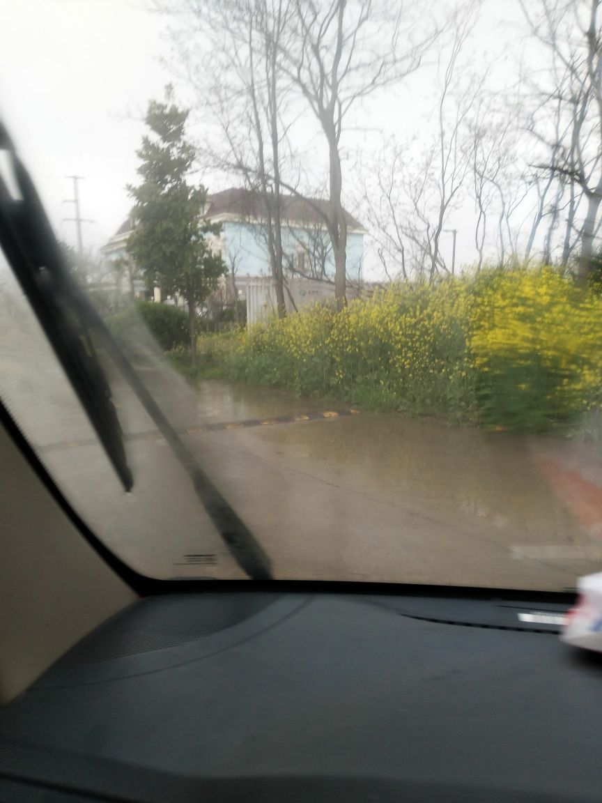 中国华能上海崇明前卫风电场
