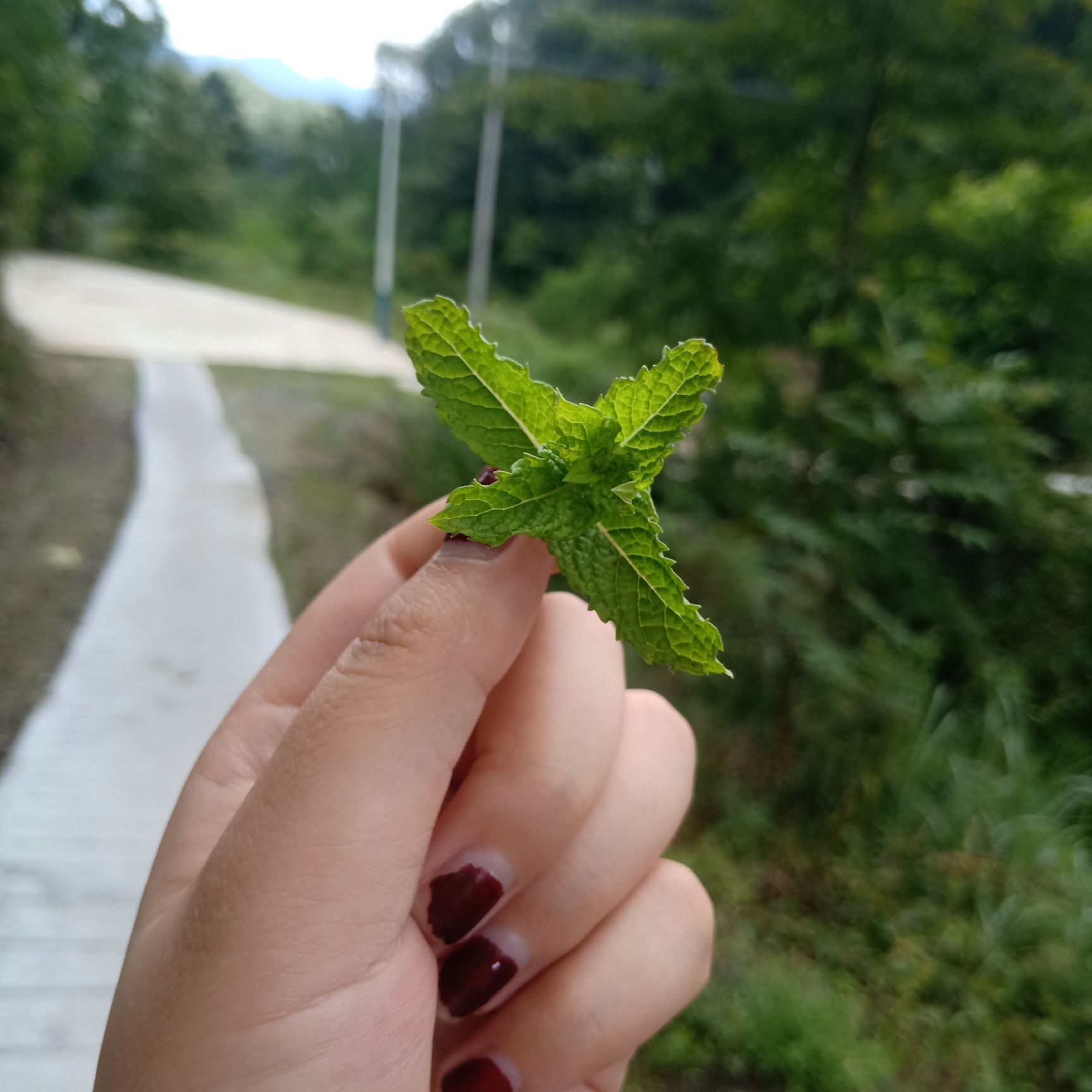 铜仁市印江土家族苗族自治县