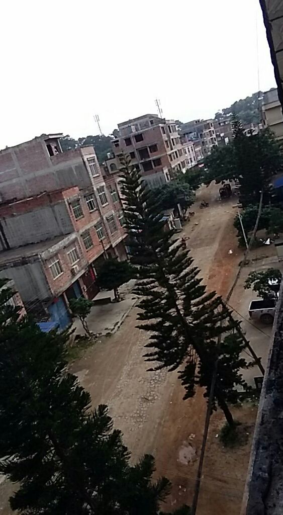 博学村