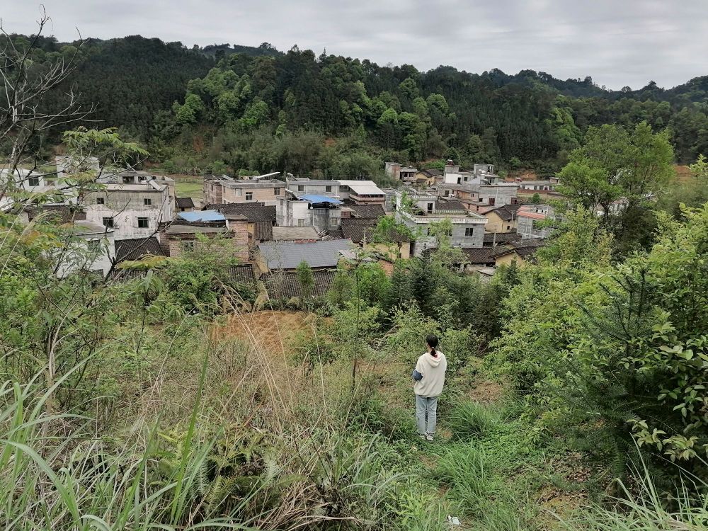 沙洞村