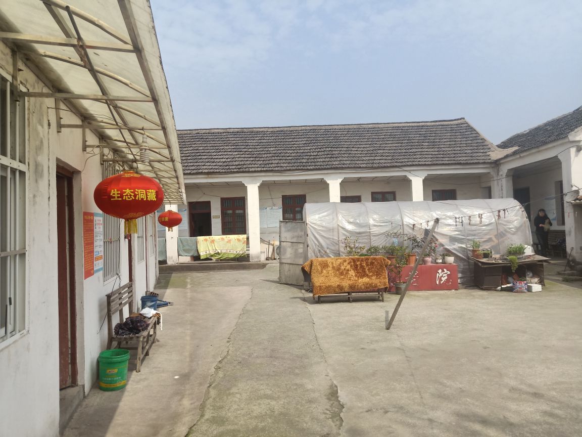 安徽省马鞍山市和县历阳镇东河村原城东小学内(文昌塔东南方黑鱼塘