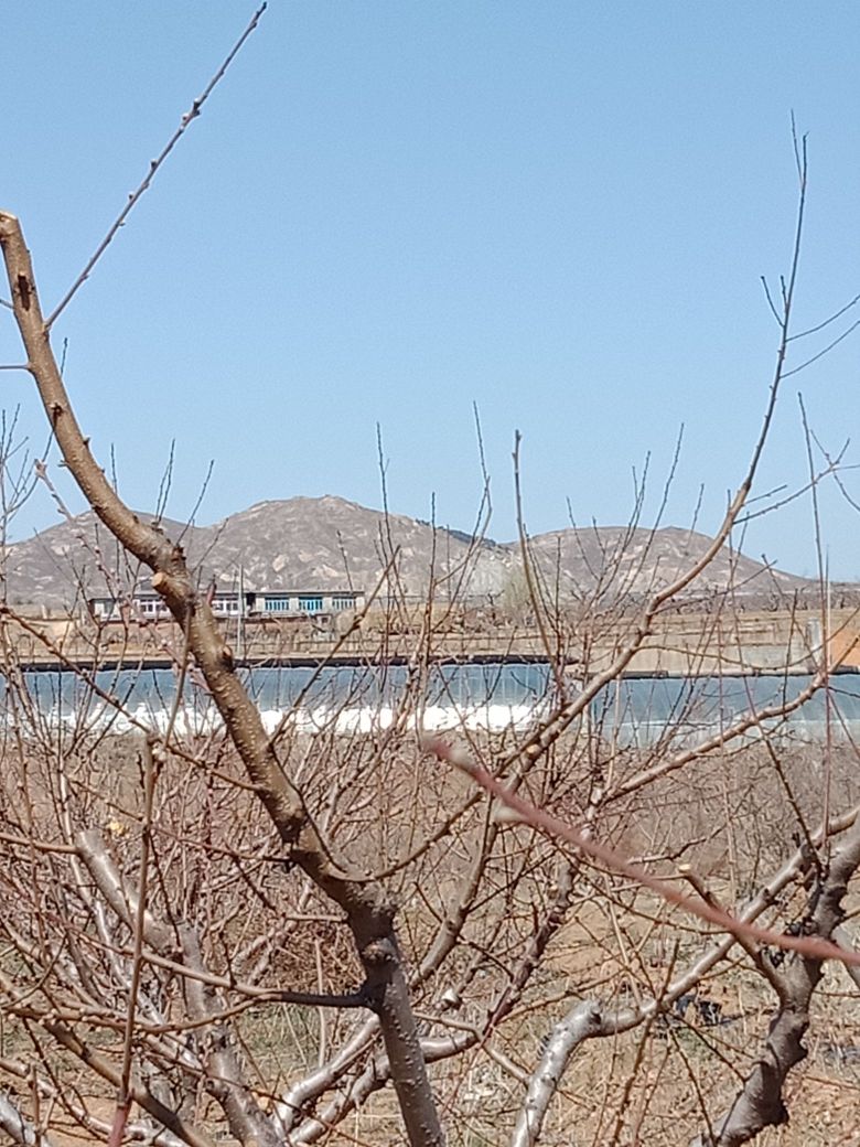 葫芦岛市绥中县