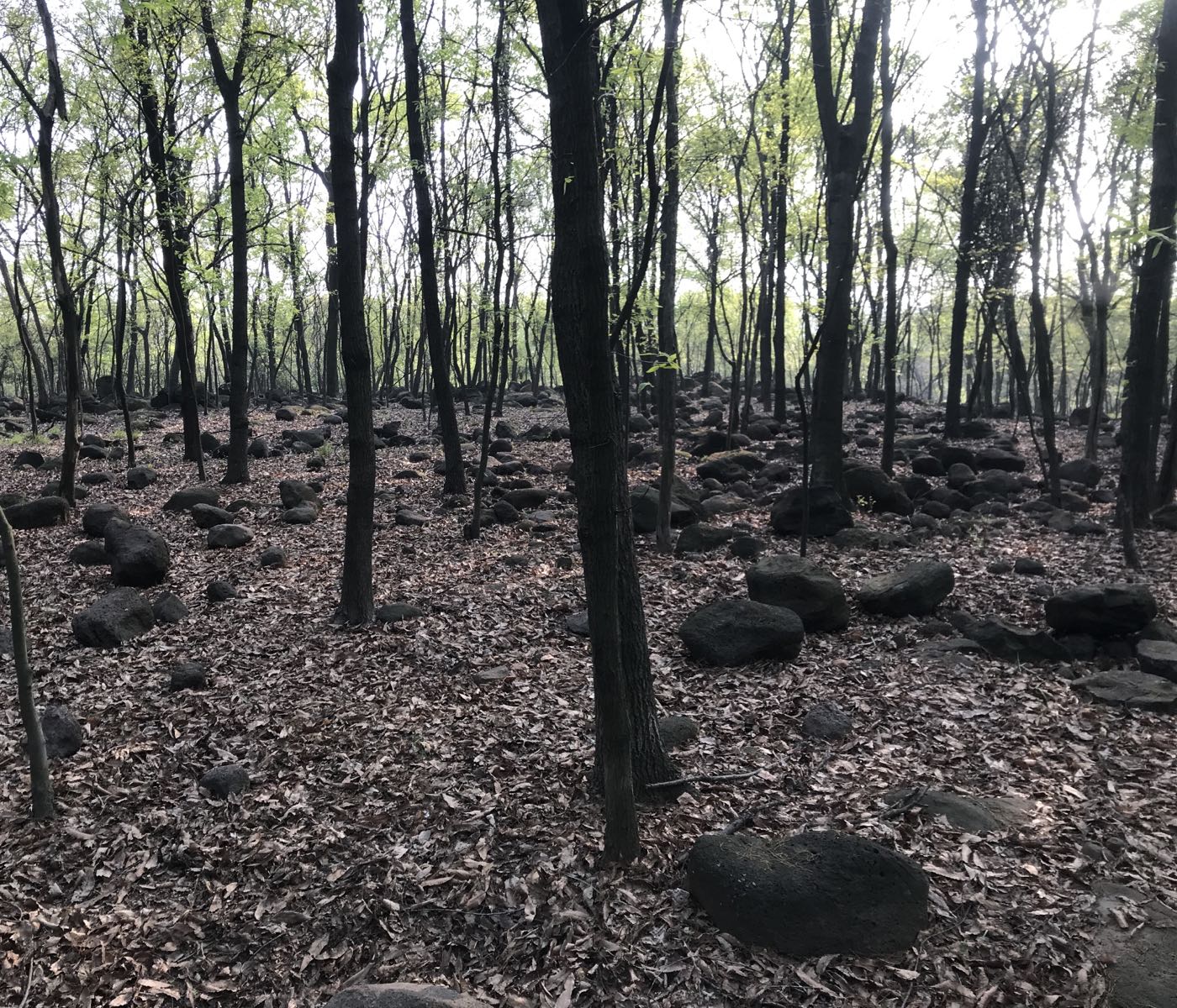 火山石公园