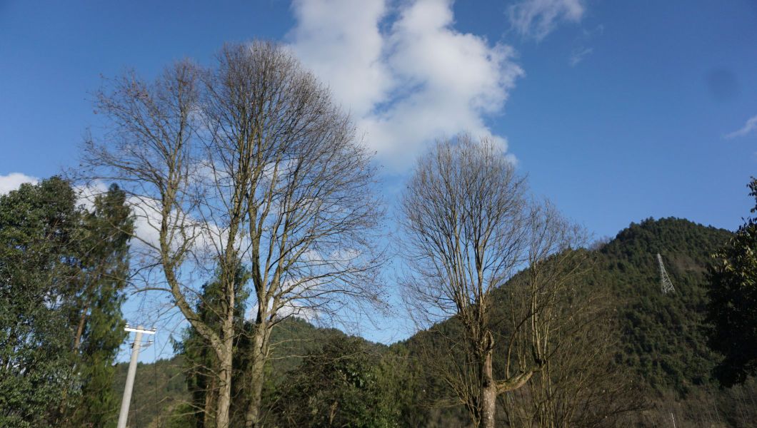 湘西土家族苗族自治州龙山县二零九国道