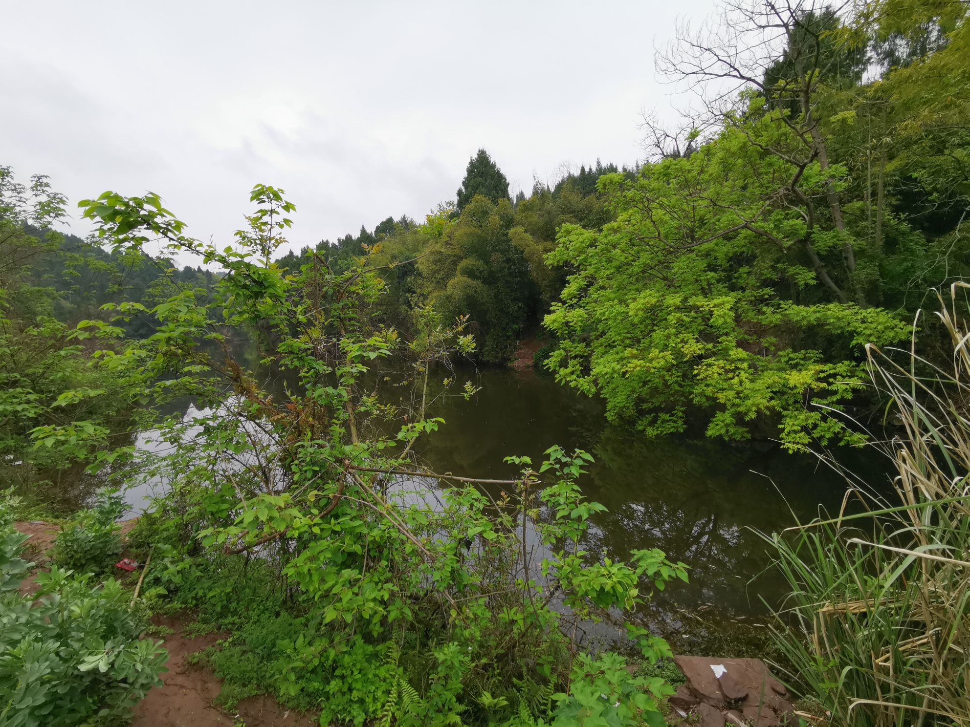 四川省遂宁市大英县