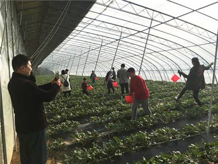 甘肃省临夏回族自治州永靖县刘家峡镇