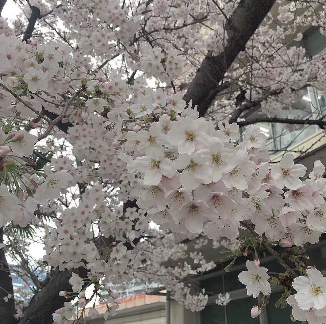 雨城文化传媒有限公司