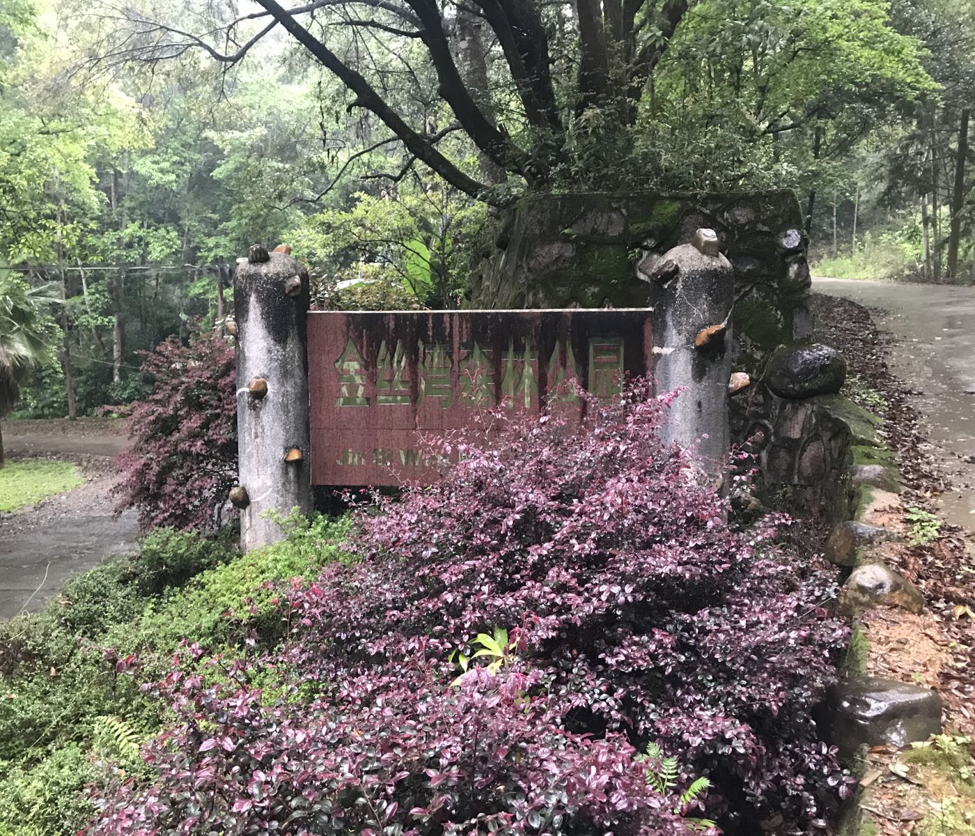 金丝湾深林公园