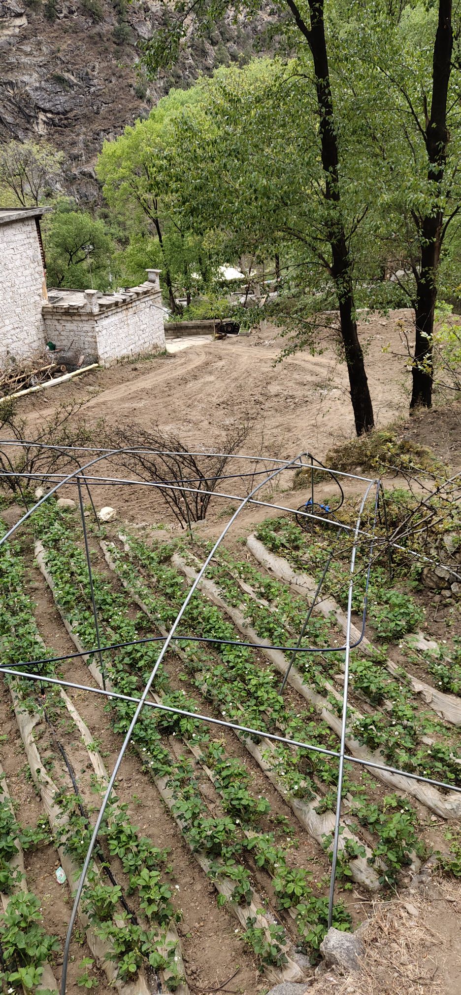 四川省甘孜藏族自治州丹巴县水子乡科里村