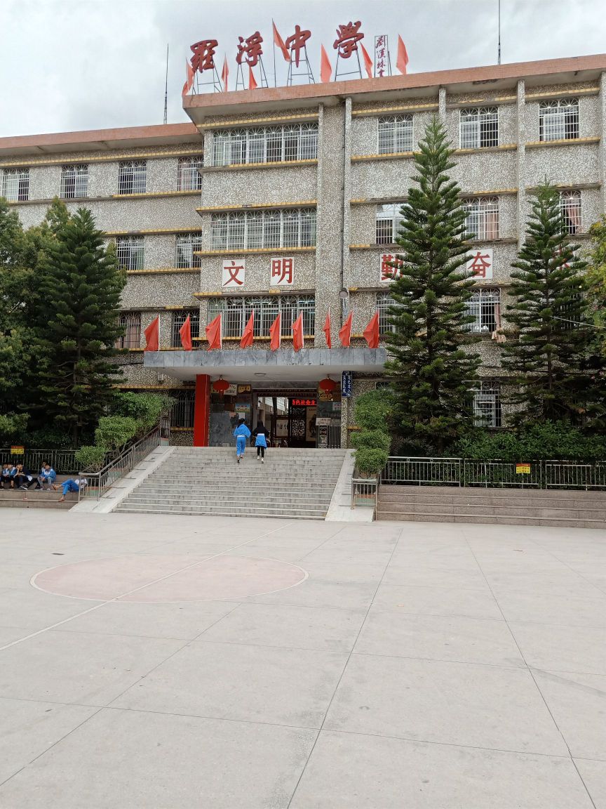 广东省梅州市兴宁市罗浮镇浮北南门街罗浮中学