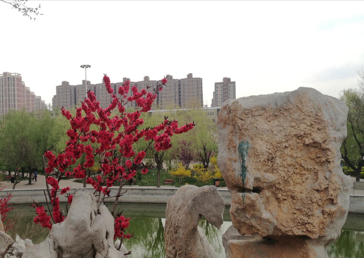 五一公园