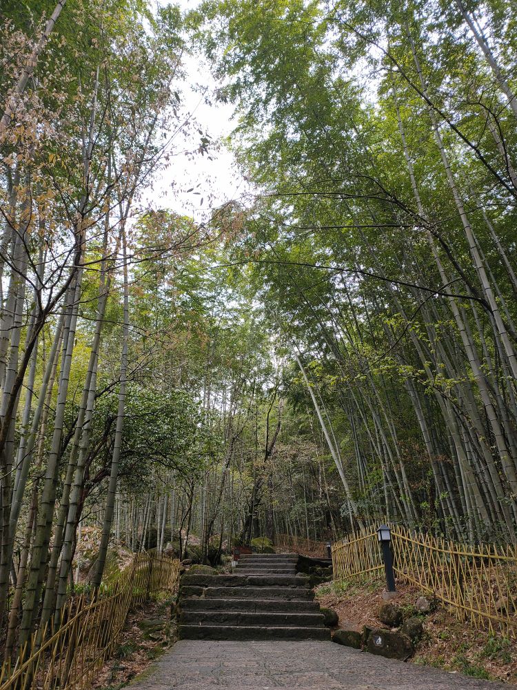 云谷寺