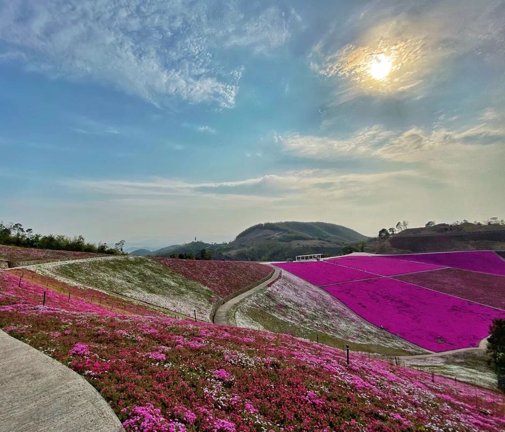 绿野山居景区门票图片