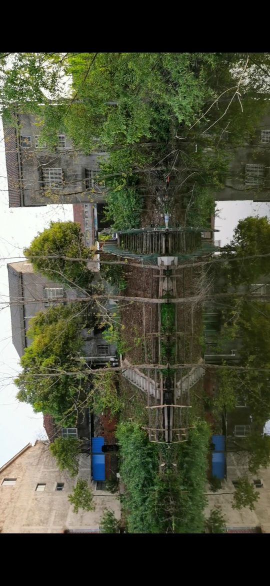 湖北省荆州市监利市朱河镇所有主城区