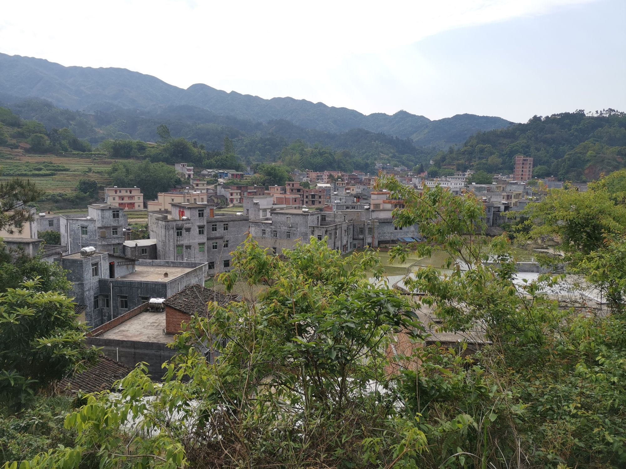 茂名市信宜市五九一县道